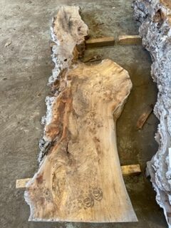 54mm Burr Elm
