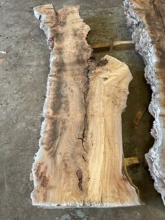 54mm Burr Elm PB 736